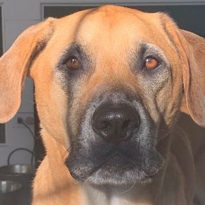 Meet your Posher, Renee